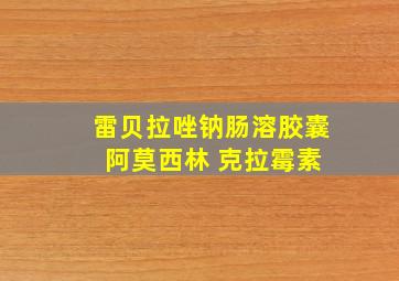 雷贝拉唑钠肠溶胶囊 阿莫西林 克拉霉素